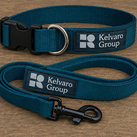 Collar & Lead Sets