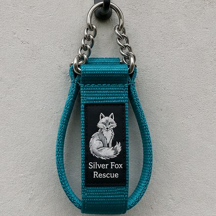 Customized dog collars for trainers and clubs