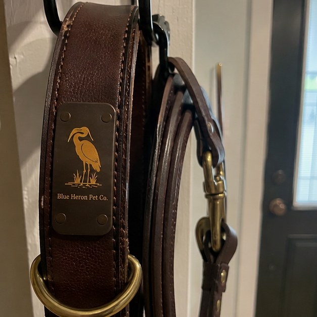Dog collars with logo — customer photo