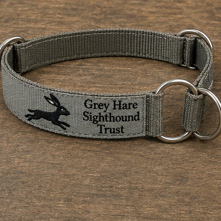 Martingale & Training Collars