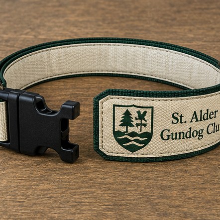 Quick-Release Buckle Collars